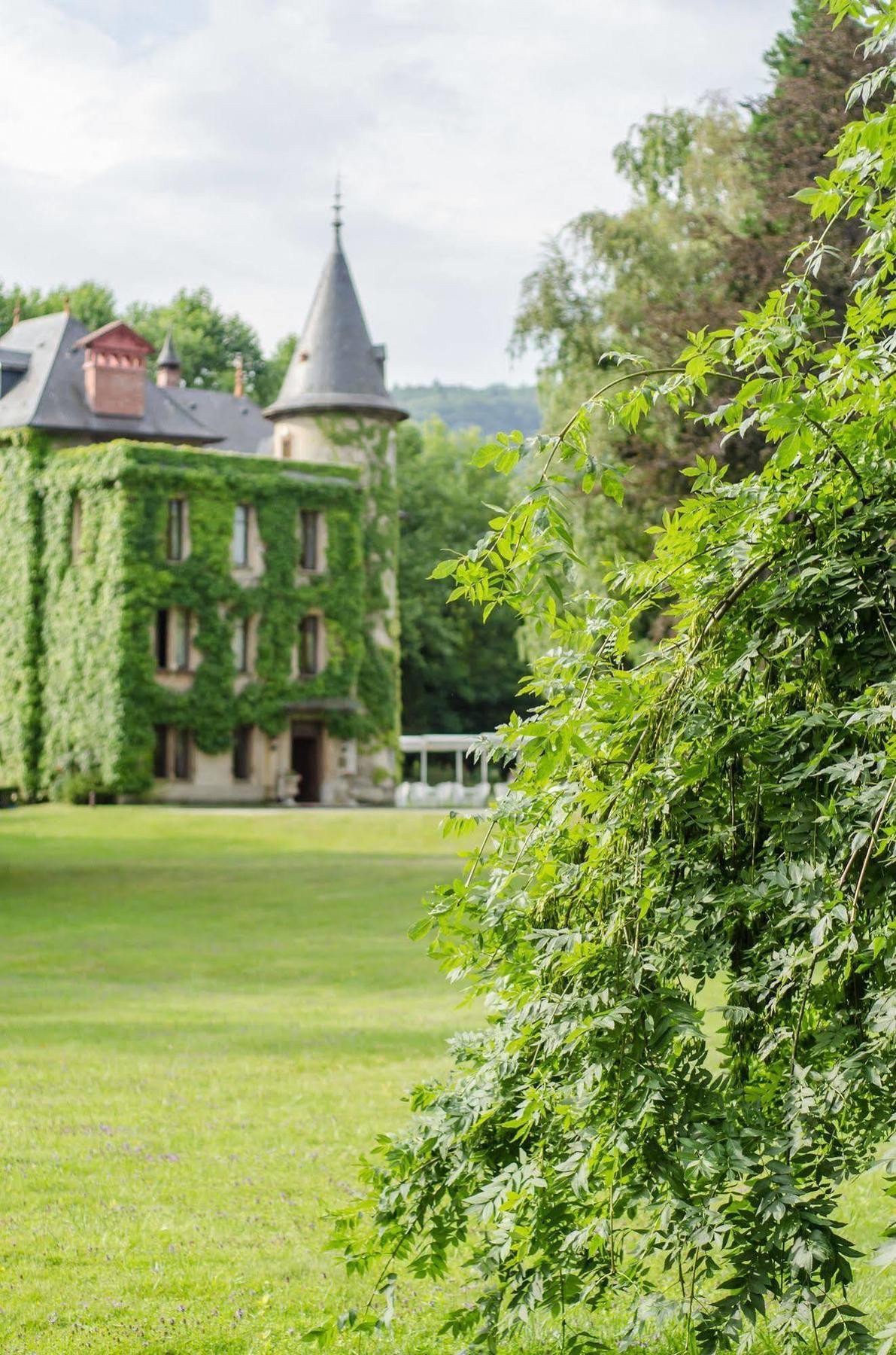 Chateau De La Tour Du Puits Hotel Coise-Saint-Jean-Pied-Gauthier Exterior photo